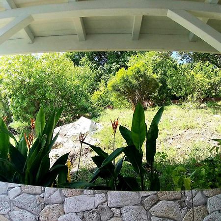 Villa Cana Et Son Spa A Terre De Haut Экстерьер фото