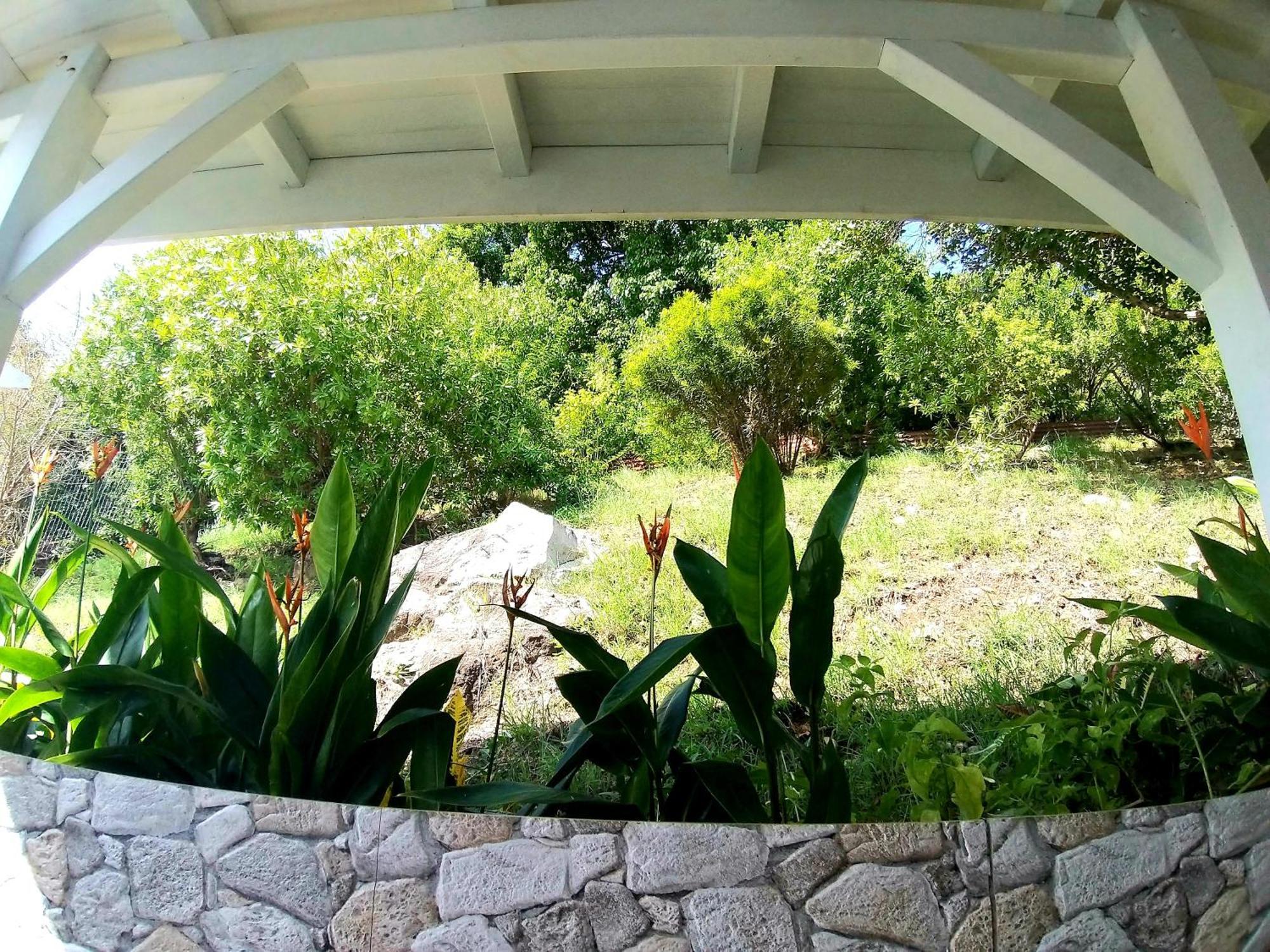 Villa Cana Et Son Spa A Terre De Haut Экстерьер фото